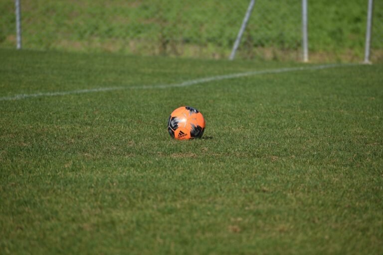 Strategi Pelatihan Efektif dalam Program PSSI Bogor